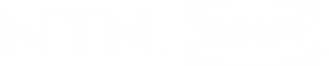Logo NTN_SRN