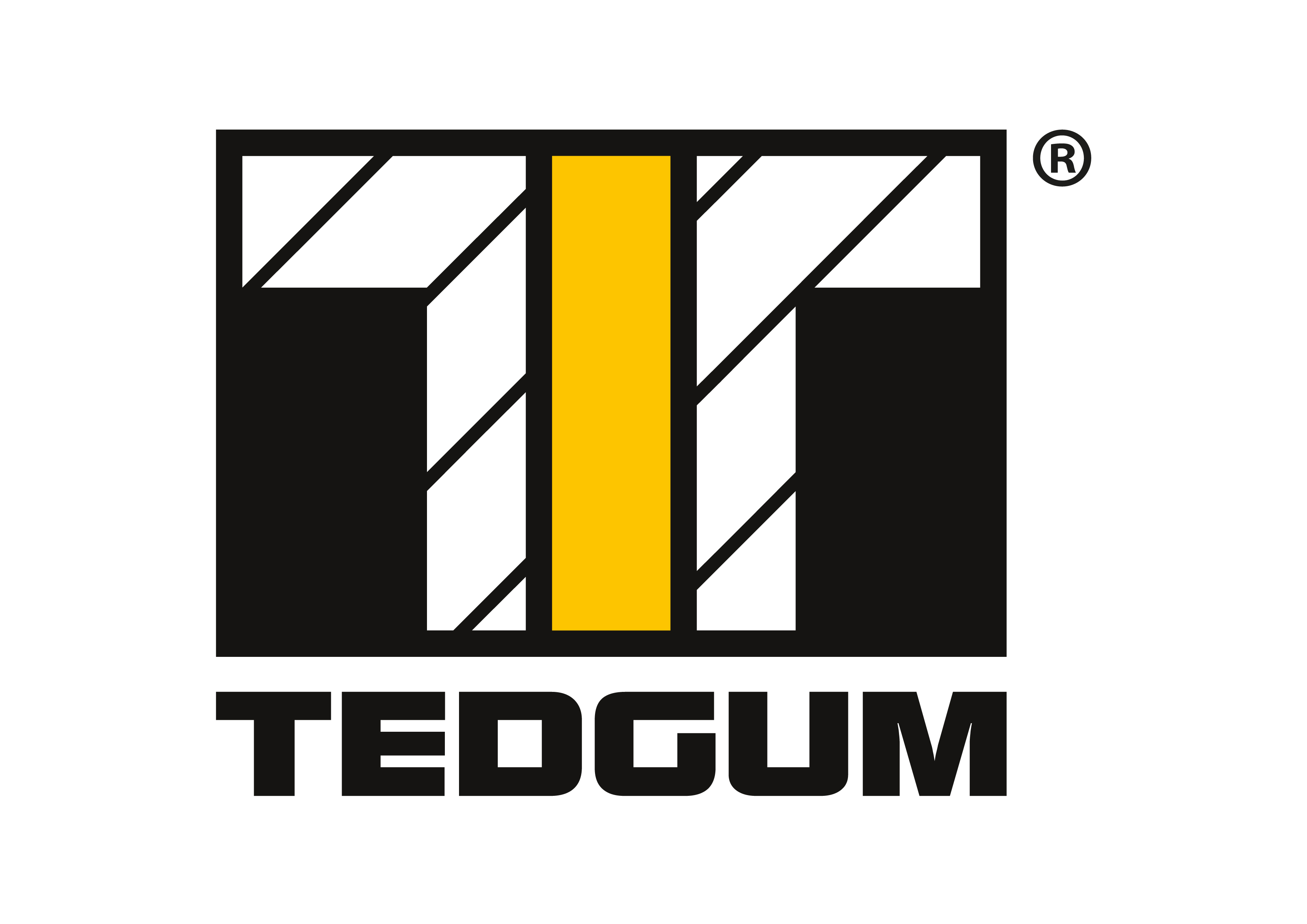 Logo Tedgum